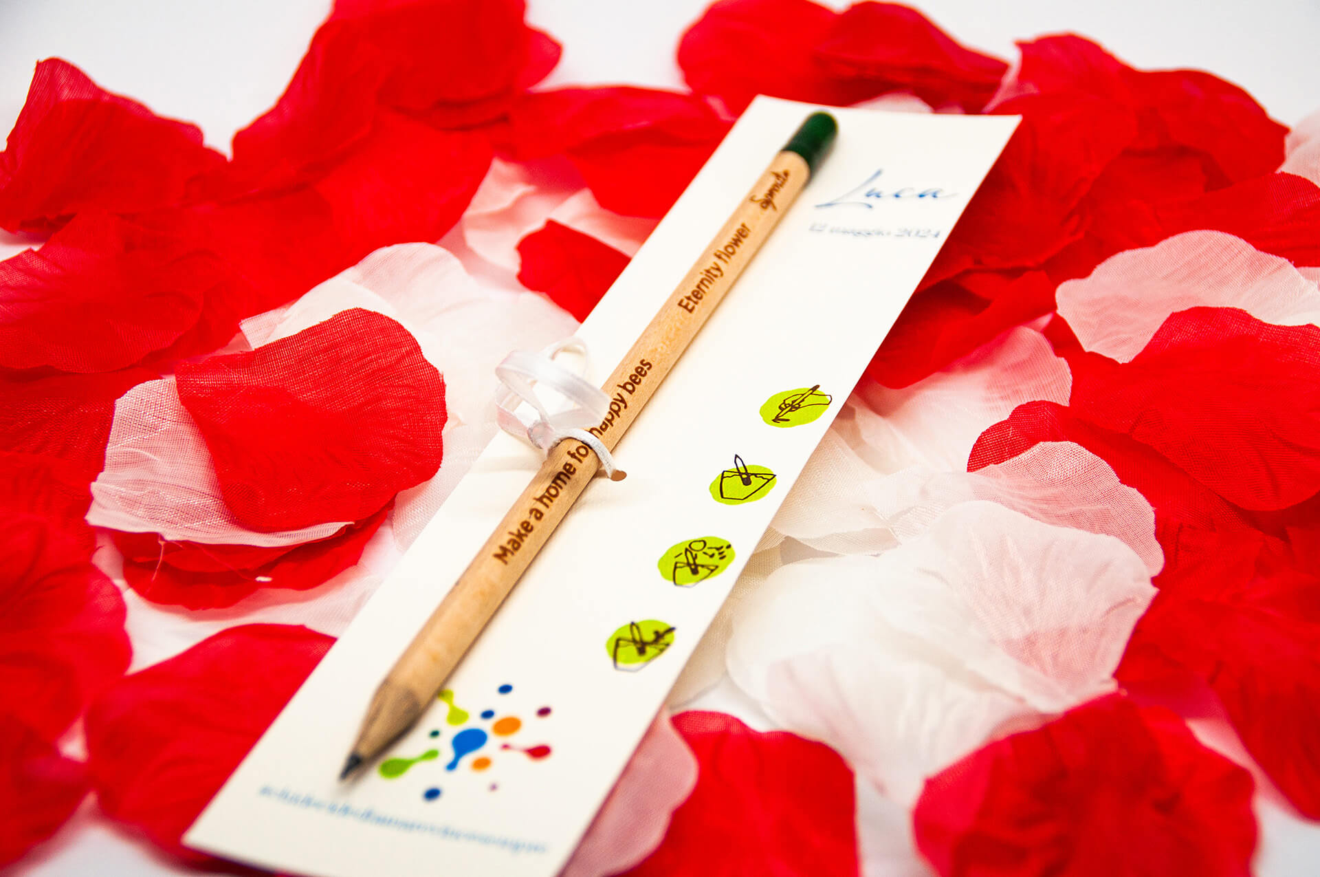 LA PRIMA MATITA PIANTABILE AL MONDO